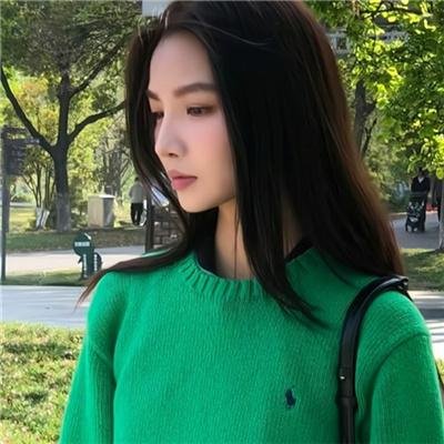 寻秦记