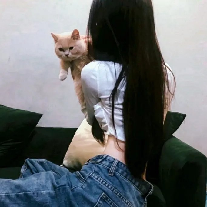 远方的狗吠声